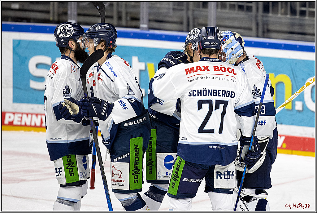 PENNY DEL;  Koelner Haie - Straubing Tigers; Koeln, 15.10.2021